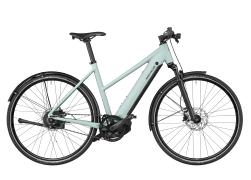 Riese & Muller Roadster Mixte Vario HS